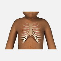 Auscultation simulation module vital signfor pediatric carepediatric