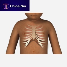 Auscultation simulation module vital signfor pediatric carepediatric