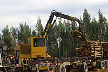 Swing-arm log loader 220Dtruck-mountedtrailerable