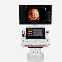 On-platform ultrasound system HERA Z20for gynecological and obstetric ultrasound imagingB/Wcolor doppler