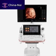 On-platform ultrasound system HERA Z20for gynecological and obstetric ultrasound imagingB/Wcolor doppler