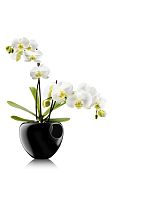 Plastic plant pot ORCHID