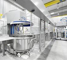 Transport system for the food industry industrialdoughcompact